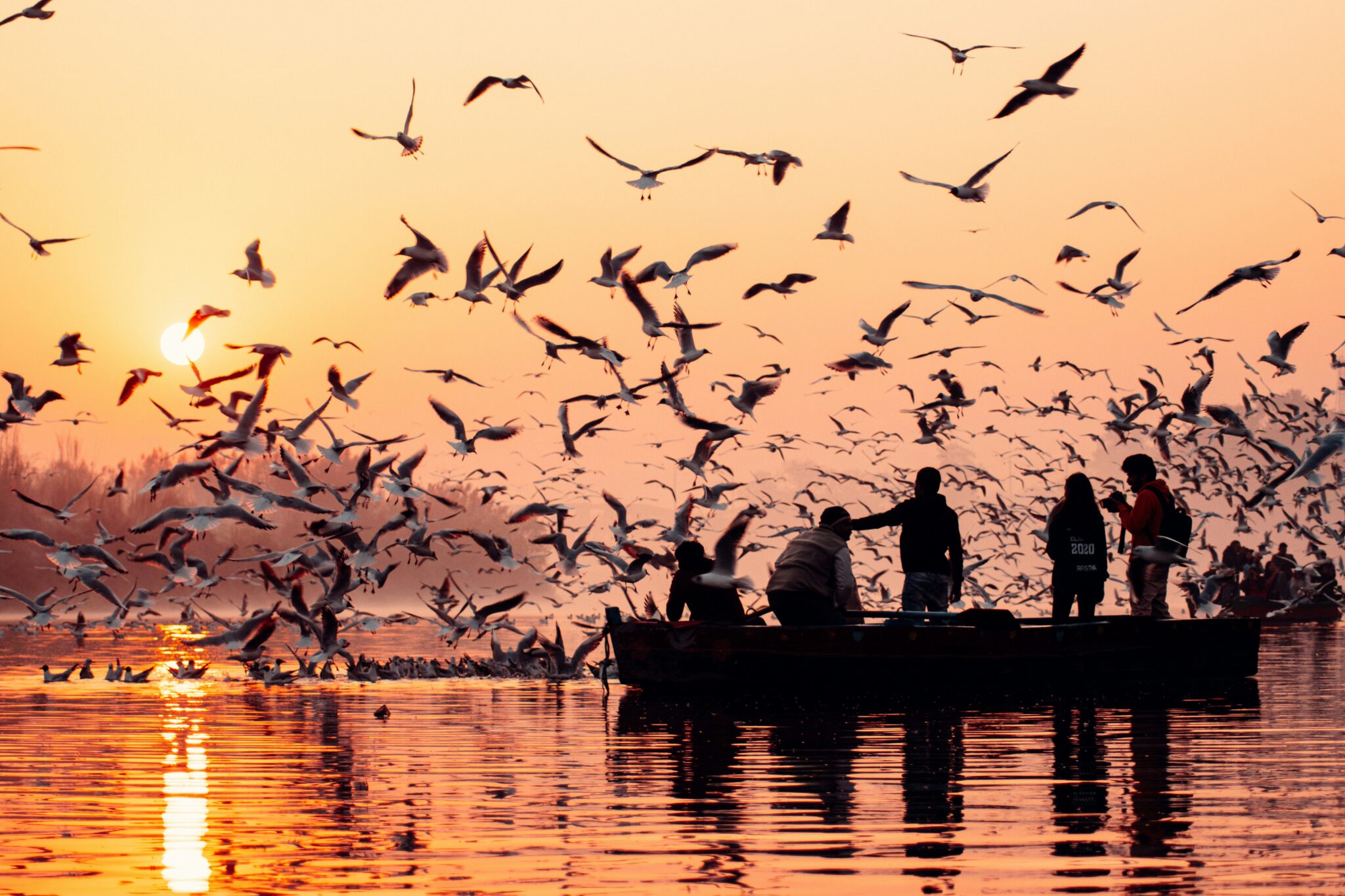 Golden Triangle Tour